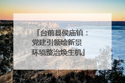 台前县侯庙镇：党建引领绘新景 环境整治焕生机