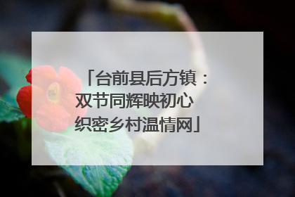 台前县后方镇：双节同辉映初心 织密乡村温情网