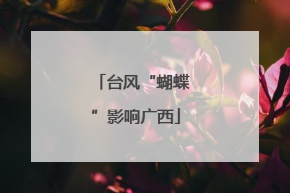 台风“蝴蝶”影响广西