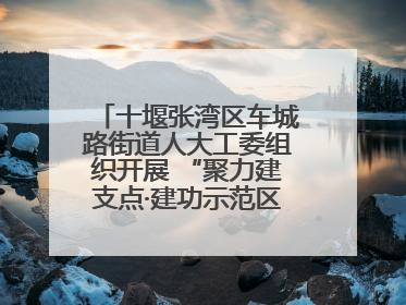 十堰张湾区车城路街道人大工委组织开展 “聚力建支点·建功示范区”代表行动