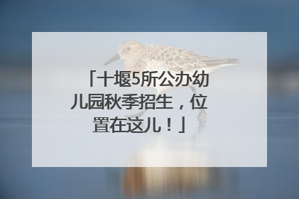 十堰5所公办幼儿园秋季招生，位置在这儿！