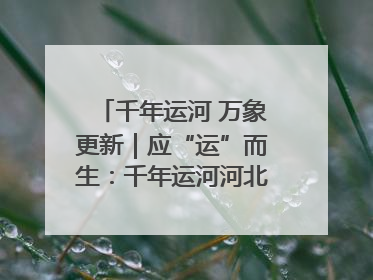 千年运河 万象更新｜应“运”而生：千年运河河北沧州段展新颜