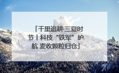 千里追耕·三夏时节丨科技“铁军”护航 麦收颗粒归仓