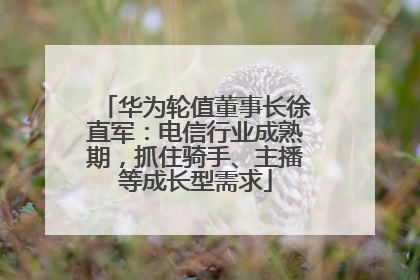 华为轮值董事长徐直军：电信行业成熟期，抓住骑手、主播等成长型需求