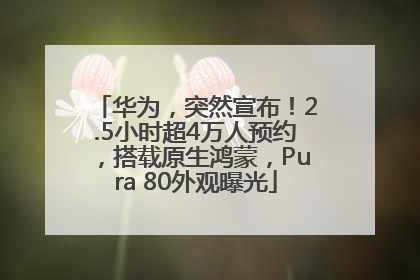 华为，突然宣布！2.5小时超4万人预约，搭载原生鸿蒙，Pura 80外观曝光
