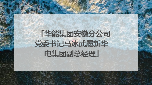 华能集团安徽分公司党委书记马冰武履新华电集团副总经理