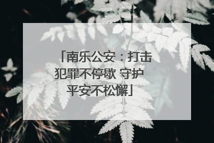 南乐公安：打击犯罪不停歇 守护平安不松懈