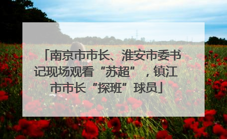 南京市市长、淮安市委书记现场观看“苏超”，镇江市市长“探班”球员