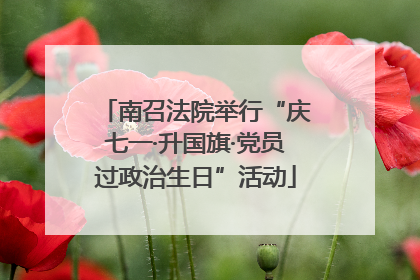 南召法院举行“庆七一·升国旗·党员过政治生日”活动