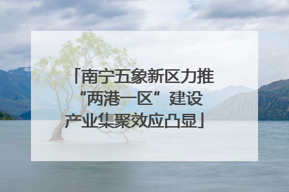 南宁五象新区力推“两港一区”建设 产业集聚效应凸显
