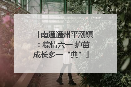 南通通州平潮镇：粽情六一 护苗成长多一“典”