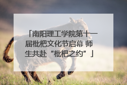 南阳理工学院第十一届枇杷文化节启幕 师生共赴“枇杷之约”