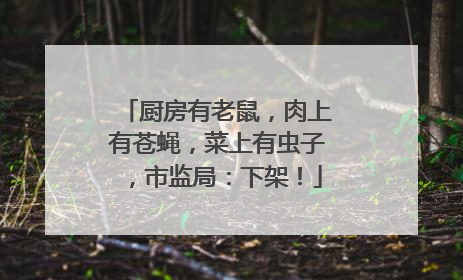 厨房有老鼠，肉上有苍蝇，菜上有虫子，市监局：下架！