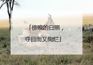傍晚的日照，夺目而又绚烂