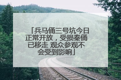 兵马俑三号坑今日正常开放，受损秦俑已移走 观众参观不会受到影响
