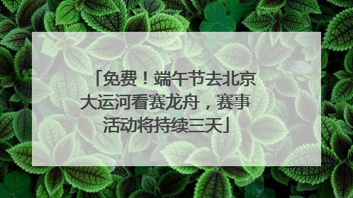 免费！端午节去北京大运河看赛龙舟，赛事活动将持续三天