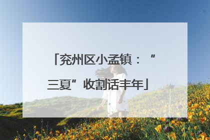兖州区小孟镇：“三夏”收割话丰年