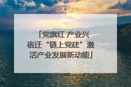 党旗红 产业兴 宿迁“链上党建”激活产业发展新动能