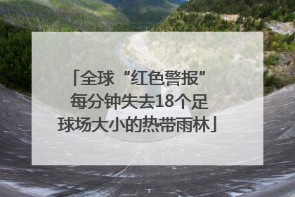 全球“红色警报”  每分钟失去18个足球场大小的热带雨林