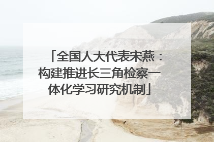 全国人大代表宋燕：构建推进长三角检察一体化学习研究机制