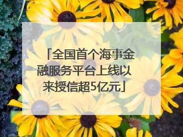 全国首个海事金融服务平台上线以来授信超5亿元