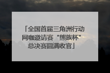 全国首届三角洲行动网咖邀请赛“熊族杯”总决赛圆满收官