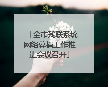 全市残联系统网络募捐工作推进会议召开