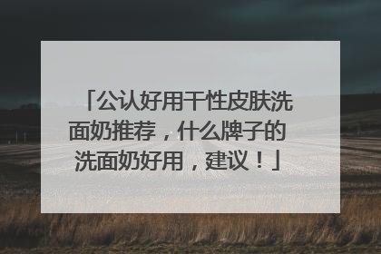 公认好用干性皮肤洗面奶推荐，什么牌子的洗面奶好用，建议！