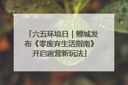 六五环境日｜鲤城发布《零废弃生活指南》开启露营新玩法