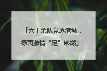 六十余队竞逐港城，绿茵激情“足”够燃