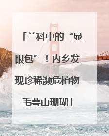 兰科中的“显眼包”！内乡发现珍稀濒危植物毛萼山珊瑚