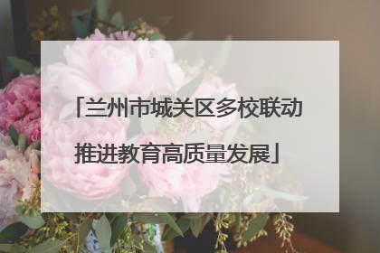 兰州市城关区多校联动推进教育高质量发展