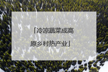 冷凉蔬菜成高原乡村热产业