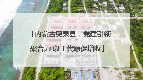 内蒙古突泉县：党建引领聚合力 以工代赈促增收