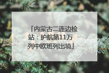 内蒙古二连边检站：护航第11万列中欧班列出境
