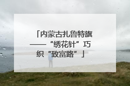 内蒙古扎鲁特旗——“绣花针”巧织“致富路”