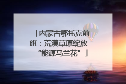 内蒙古鄂托克前旗：荒漠草原绽放“能源马兰花”