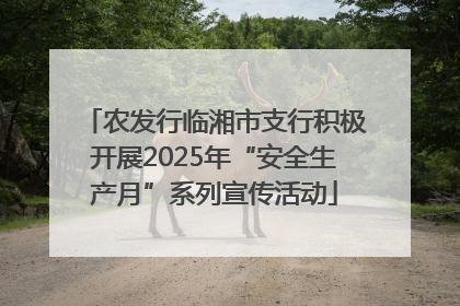农发行临湘市支行积极开展2025年“安全生产月”系列宣传活动