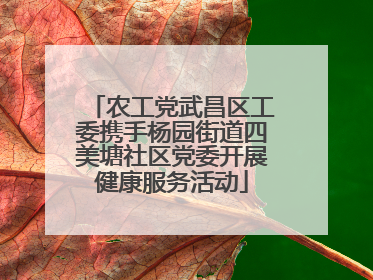 农工党武昌区工委携手杨园街道四美塘社区党委开展健康服务活动