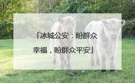 冰城公安：盼群众幸福，盼群众平安