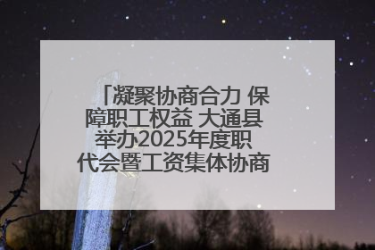 凝聚协商合力 保障职工权益 大通县举办2025年度职代会暨工资集体协商现场观摩交流活动