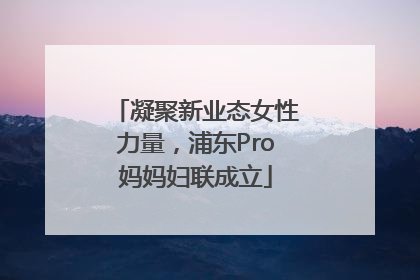 凝聚新业态女性力量，浦东Pro妈妈妇联成立