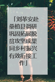 刘革安赴桑植县调研巩固拓展脱贫攻坚成果同乡村振兴有效衔接工作