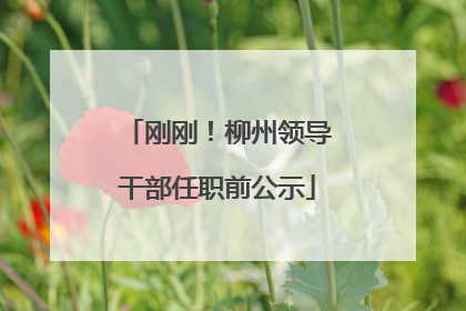 刚刚！柳州领导干部任职前公示