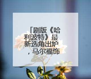 剧版《哈利波特》最新选角出炉，马尔福饰演者公开
