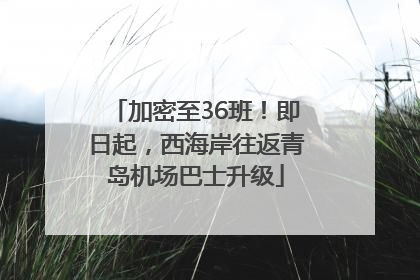 加密至36班！即日起，西海岸往返青岛机场巴士升级