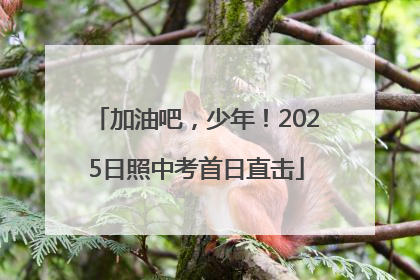 加油吧，少年！2025日照中考首日直击