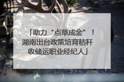 助力“点草成金”！湖南出台政策培育秸秆收储运职业经纪人