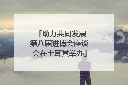 助力共同发展 第八届进博会座谈会在土耳其举办