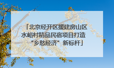 北京经开区援建房山区水峪村精品民宿项目打造“乡愁经济”新标杆